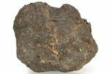 Polished Sericho Pallasite Meteorite (g) - Kenya #232275-4
